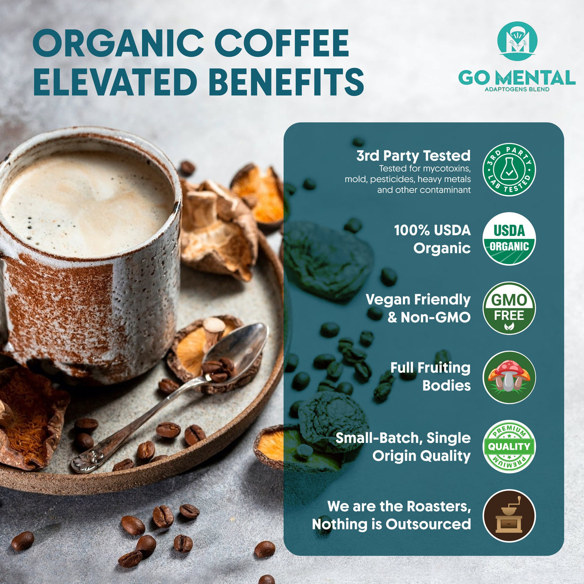 Organic Lion's Mane and Chaga Mushroom Coffee Dark Roast